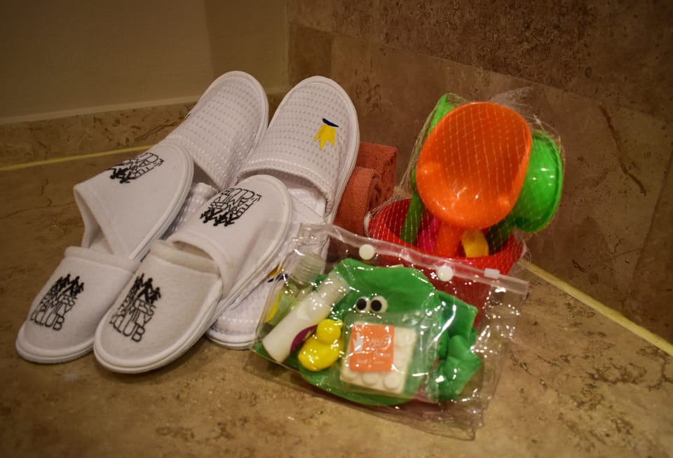 Shower, free toiletries, hair dryer, bathrobes