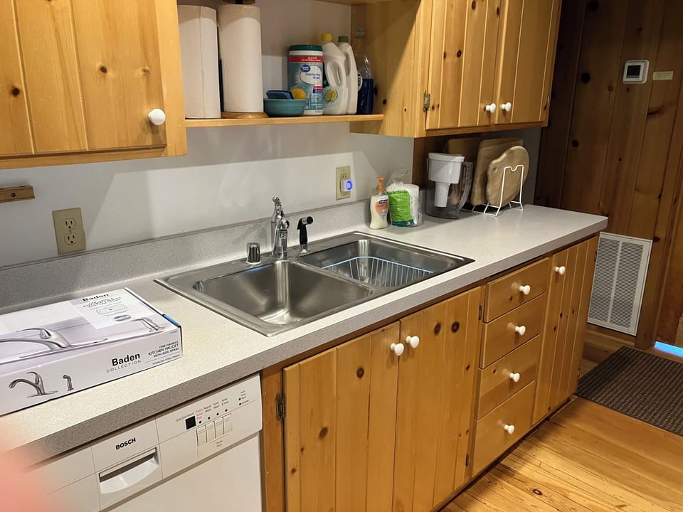 Kitchen dishwasher and sink