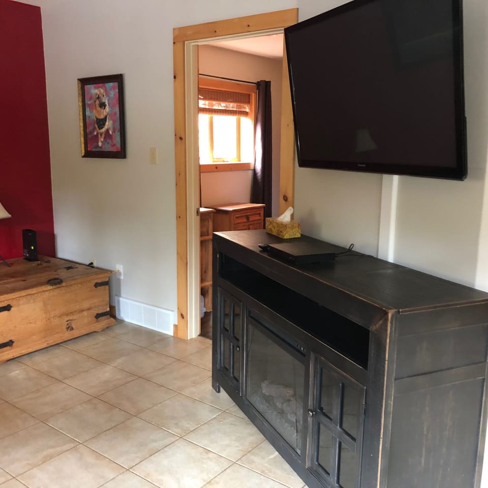 Basement TV with Electric Fireplace