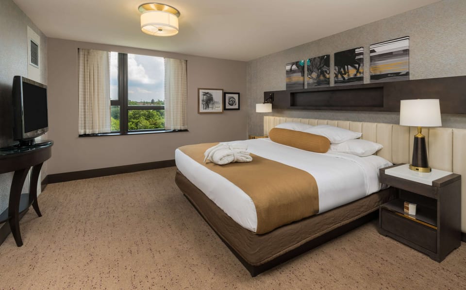 Premium bedding, down comforters, pillowtop beds, in-room safe