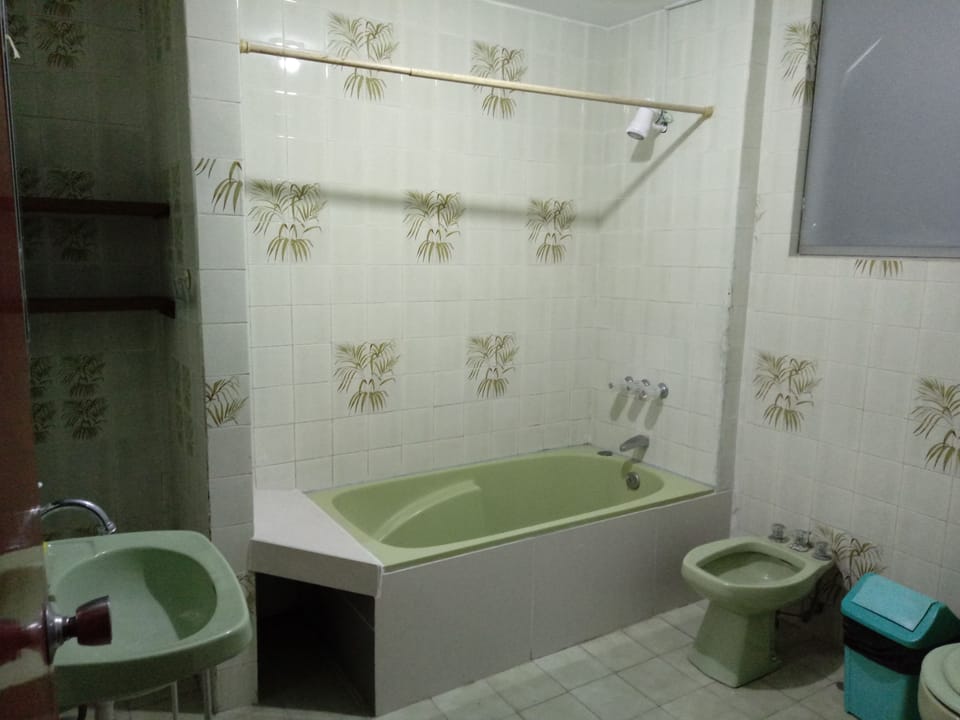 Hair dryer, bidet, towels, soap