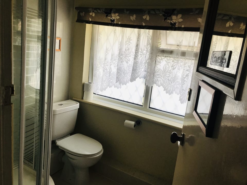 Shower, hair dryer, towels, toilet paper
