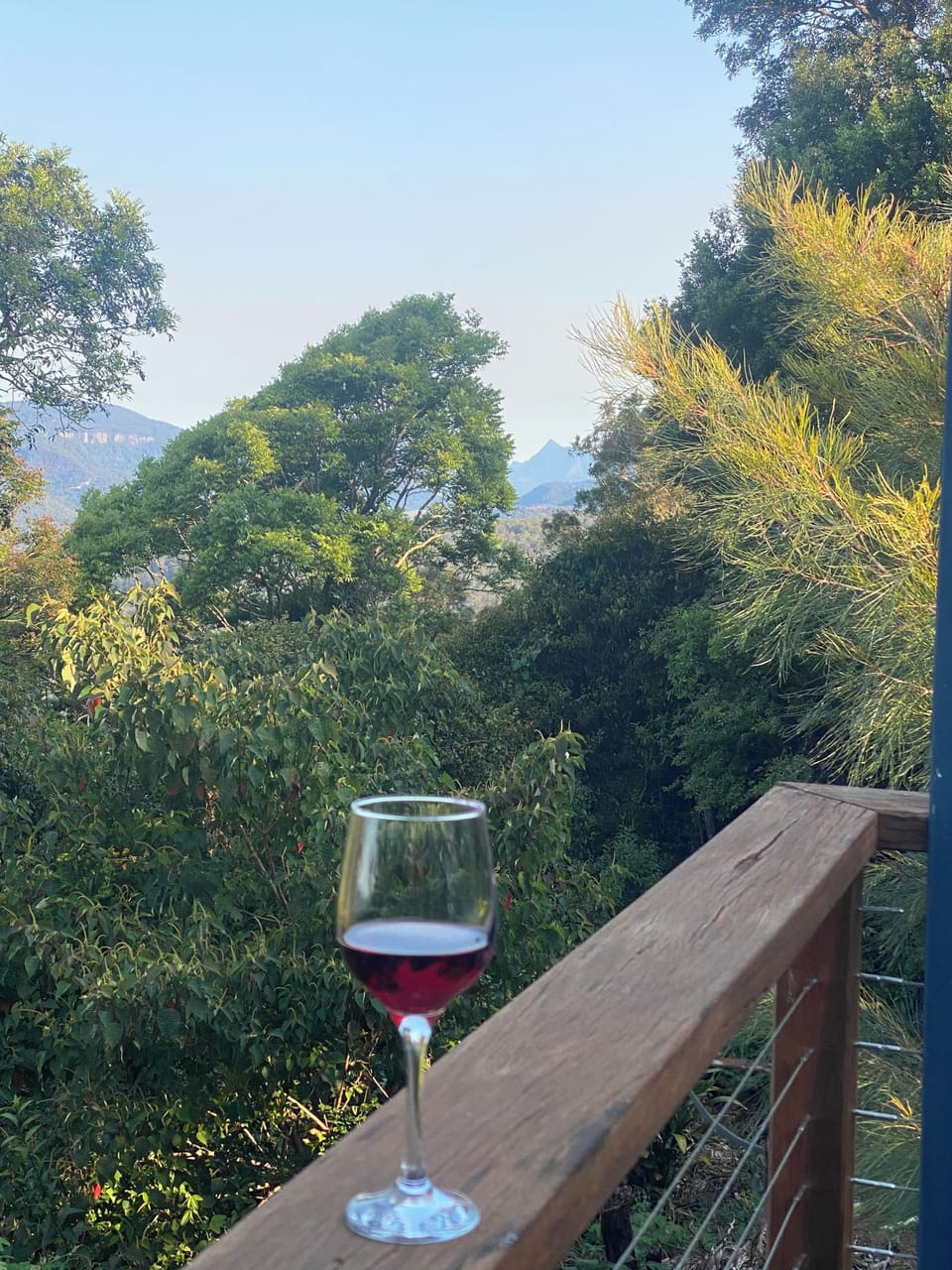Drinks on Willow Cabin deck