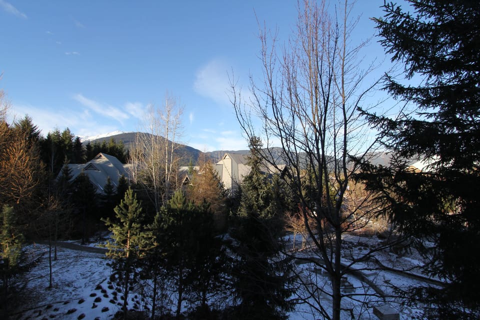 View from room