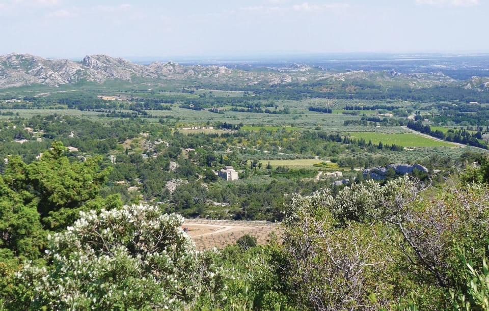 area