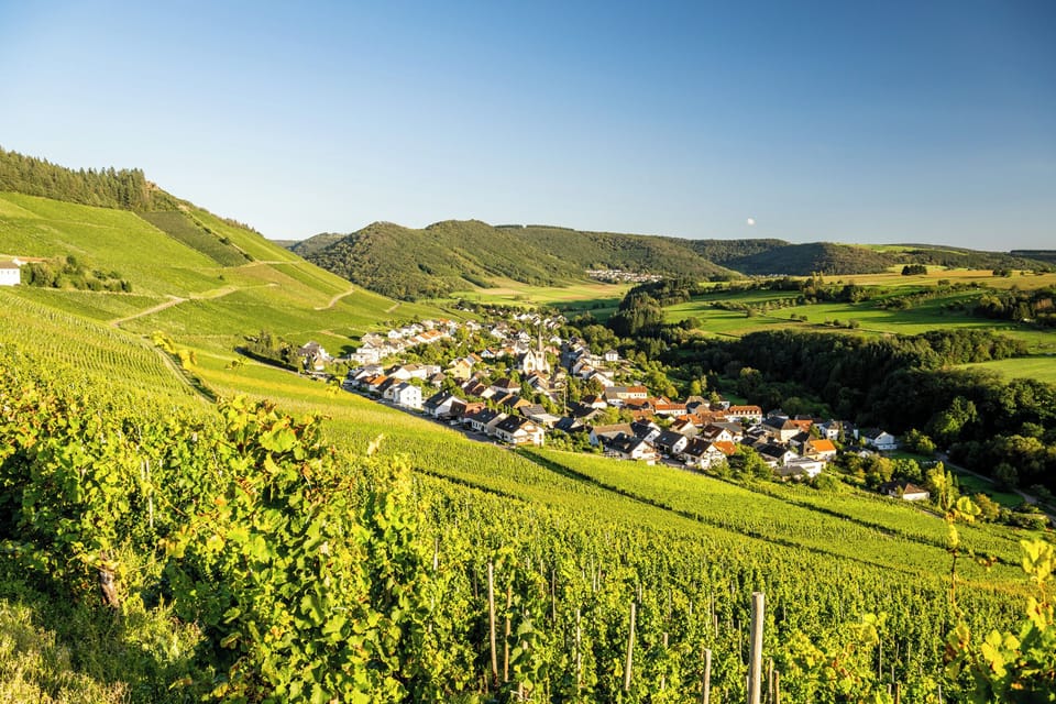 Land view from property