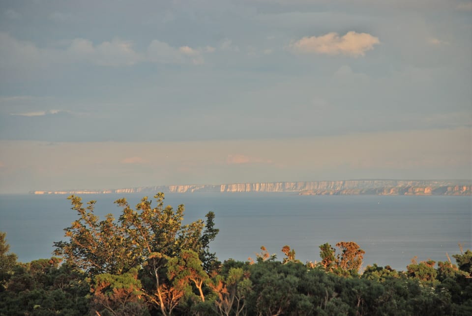 View south from the garden to the chalk cliffs at Bempton and Flamborough Head