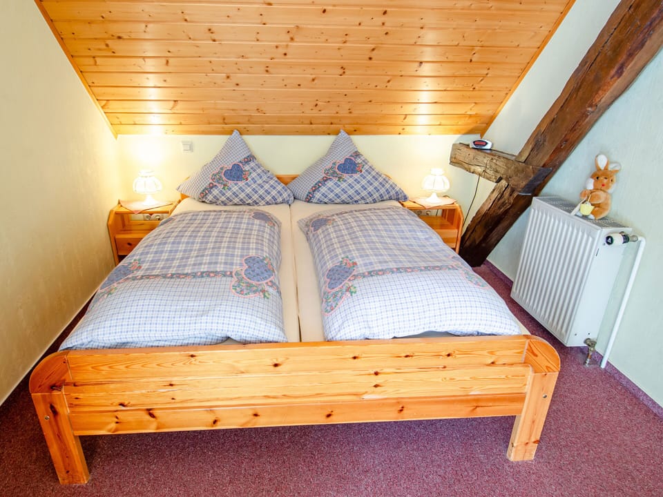 Double Room (Zimmer 6) | Desk, free WiFi, bed sheets