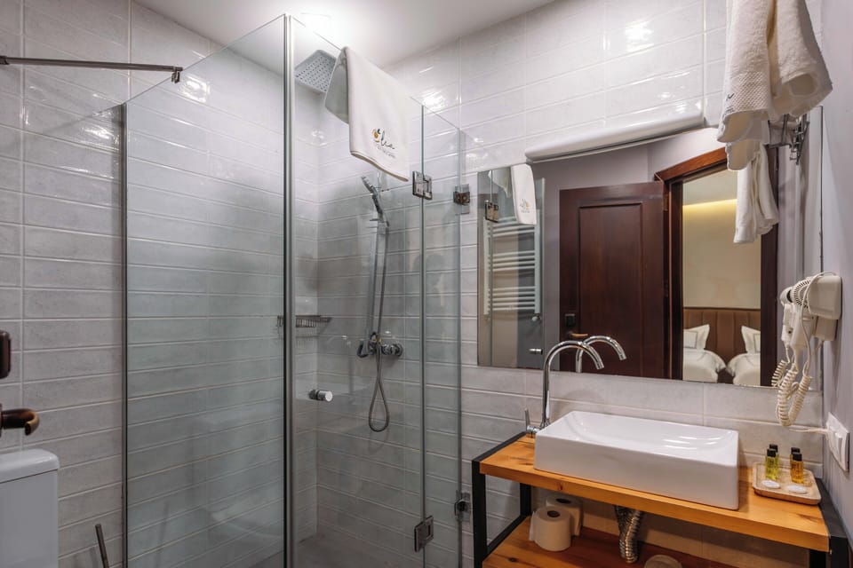 Deluxe Double or Twin Room | Bathroom | Shower, free toiletries, hair dryer, bathrobes