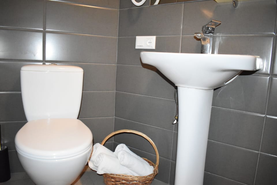 Panoramic Double or Twin Room | Bathroom | Shower, free toiletries, hair dryer, slippers