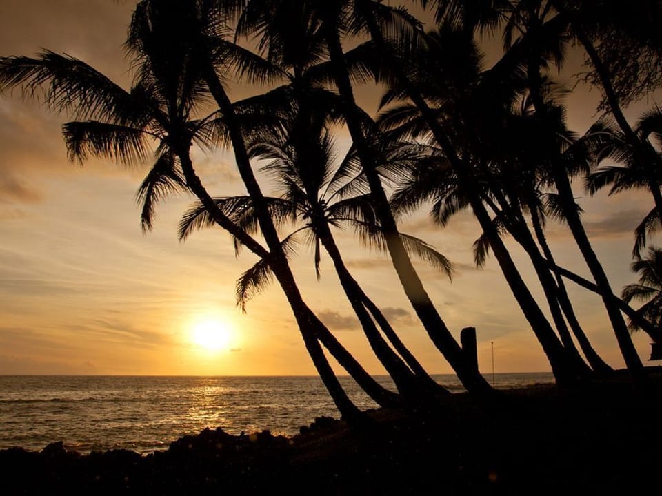 Amazing Sunsets! 