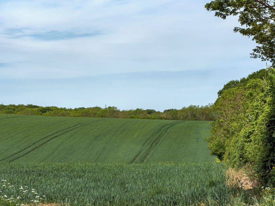 Beautiful surrounding area | Norwood Barn, Wormshill