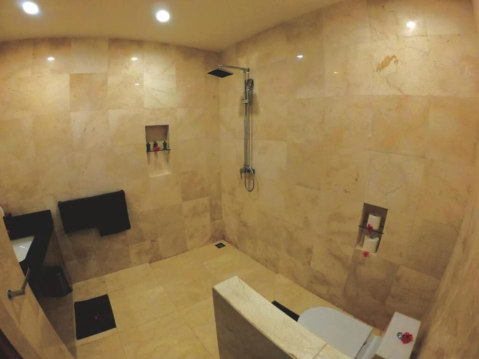Shower, free toiletries, towels