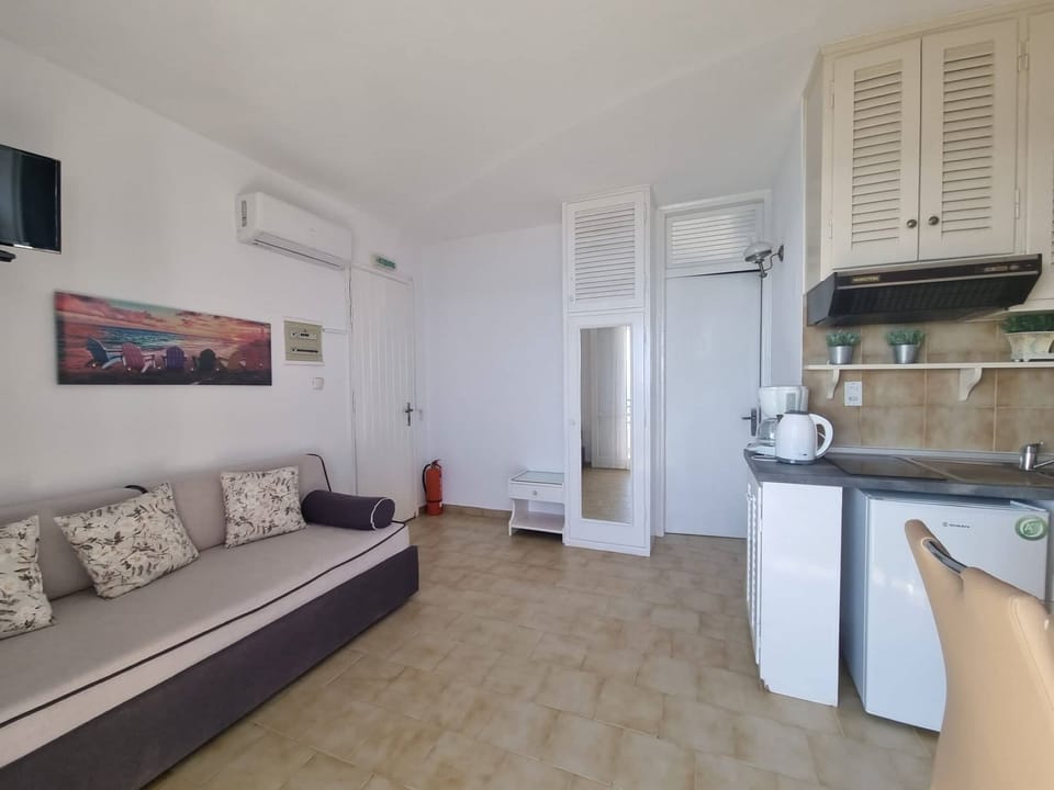 Apartment | Living area | TV