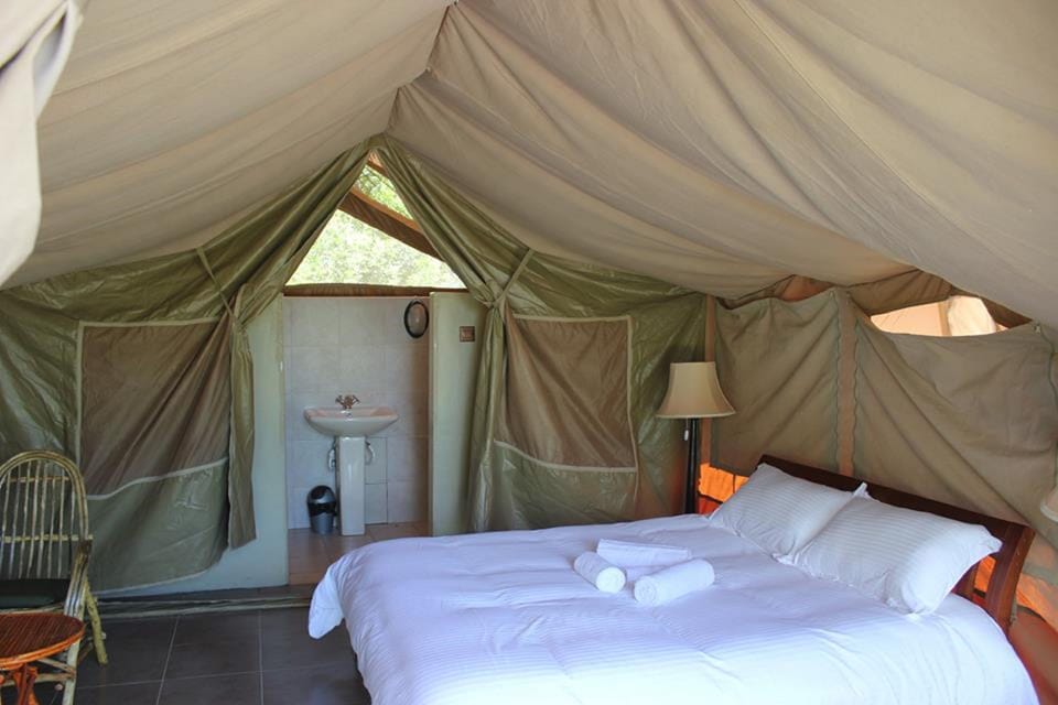 Luxury Tent | Premium bedding, memory foam beds, desk, bed sheets