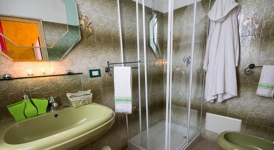 Shower, free toiletries, hair dryer, bidet