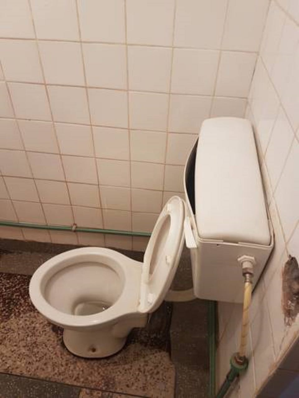 Shower, towels, soap, toilet paper