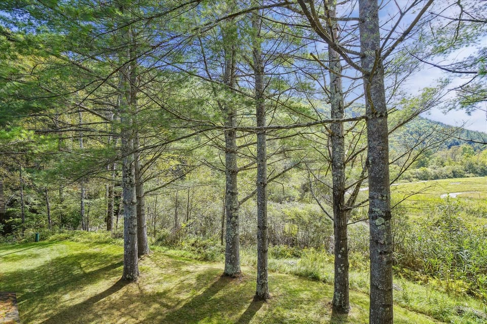 Nature abounds Cedarbrook.