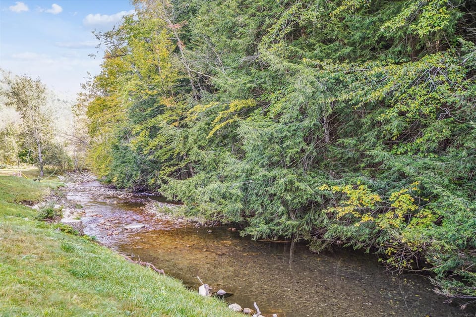 Nature abounds Cedarbrook.