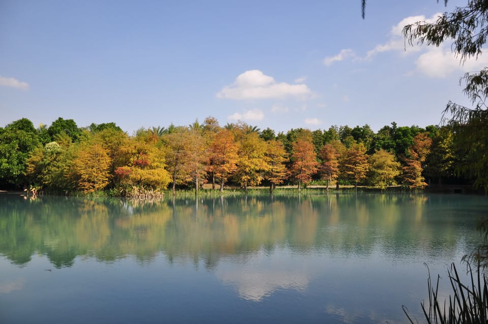 Lake view