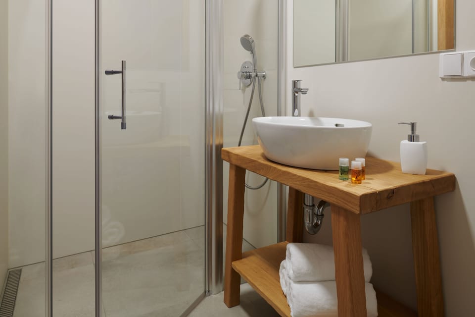 Deluxe Double Room | Bathroom | Shower, rainfall showerhead, free toiletries, hair dryer
