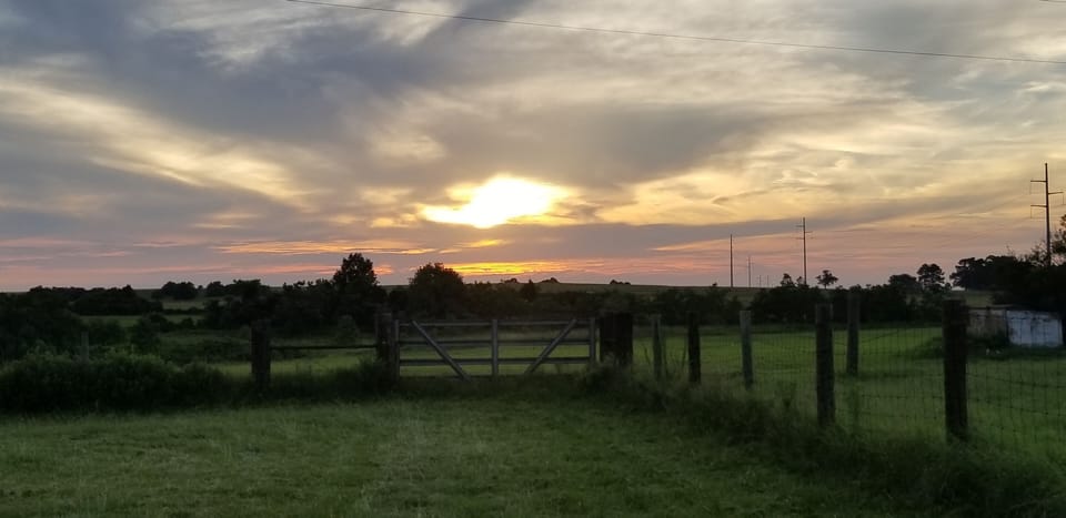 A view of the sunset from the backyard.