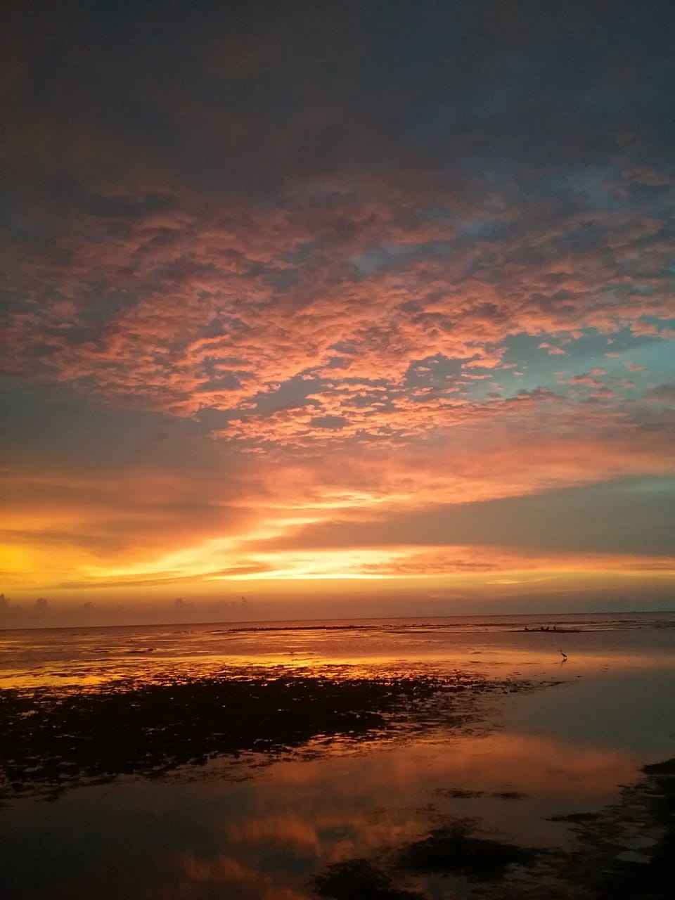 Gulf Sunset