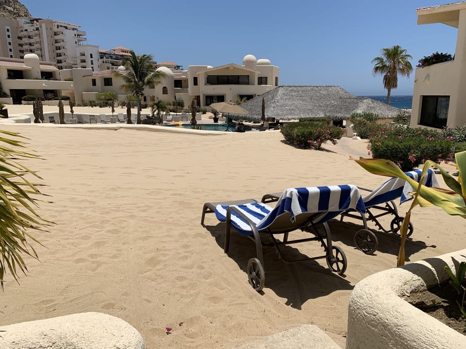 View from Patio Palapa Bar interior pool