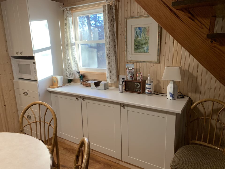 Dining room counter/cupboards 