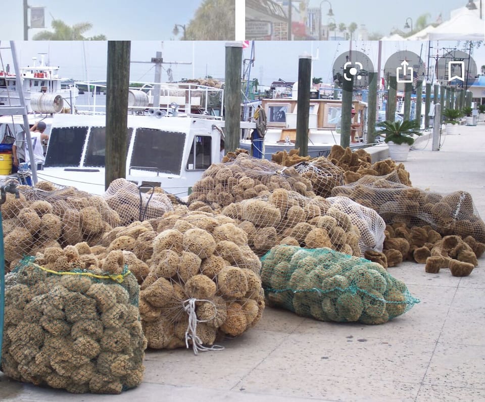 Sponge harvest at the Sponge Docks. 5 minutes walking distance. 