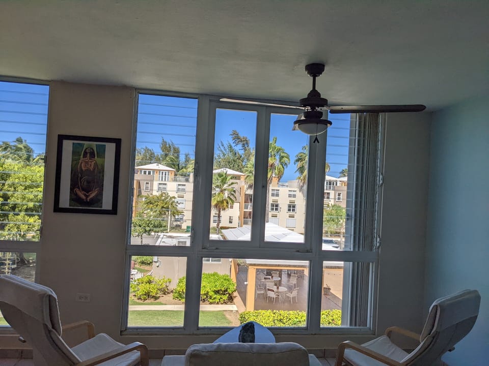 View from inside