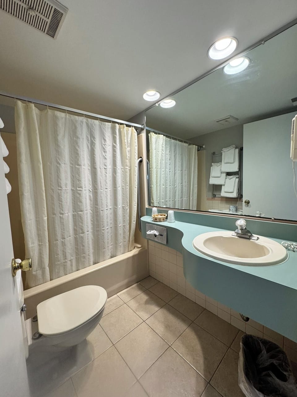 One Bedroom Suite with Living Room | Bathroom | Combined shower/tub, free toiletries, towels