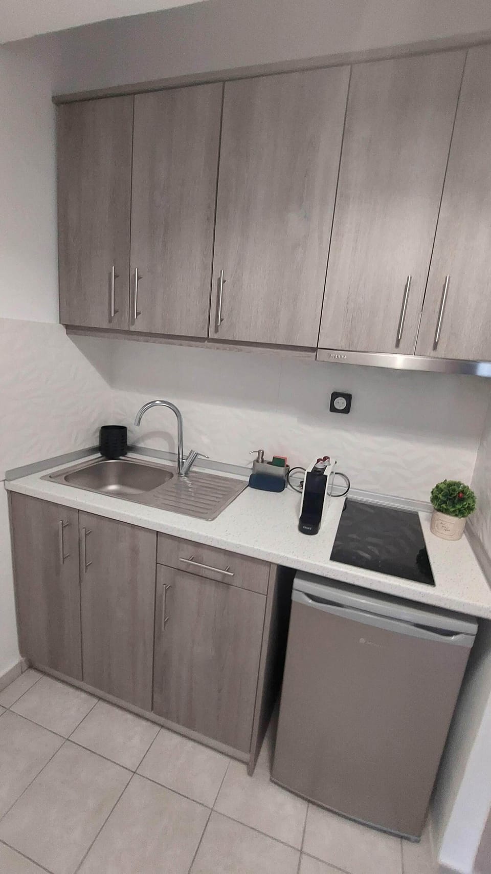 Studio | Private kitchen | Fridge