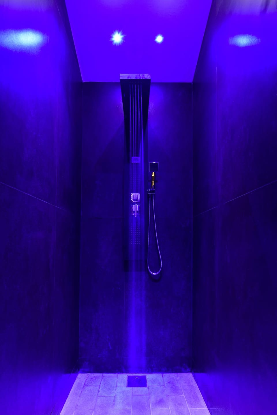 Suite, Sea View | Bathroom | Shower, free toiletries, hair dryer, towels