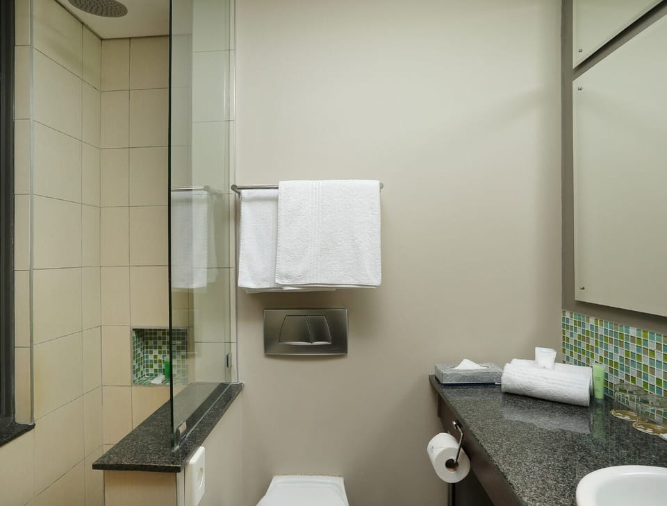 Free toiletries, hair dryer, towels