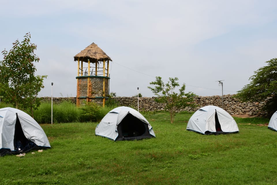 Basic Tent | Free WiFi