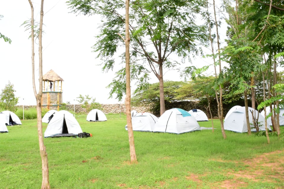 Basic Tent | Free WiFi
