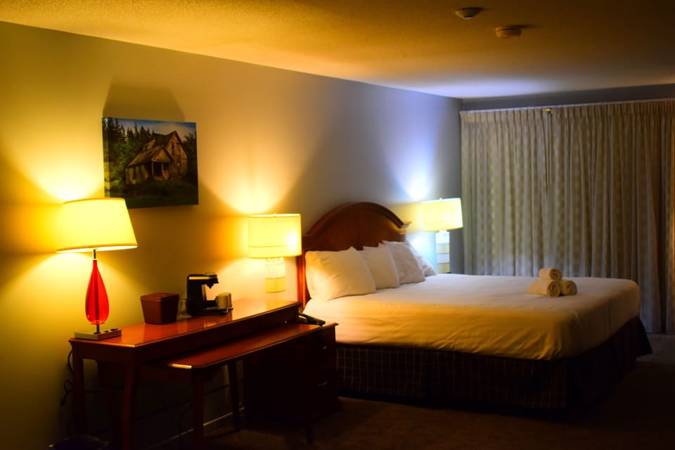 Standard Room, 1 King Bed | Iron/ironing board, cribs (free), WiFi (free), bed sheets