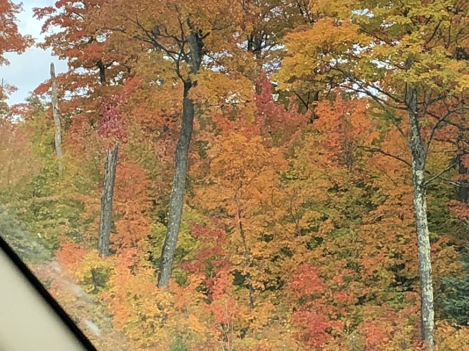 Fall colors