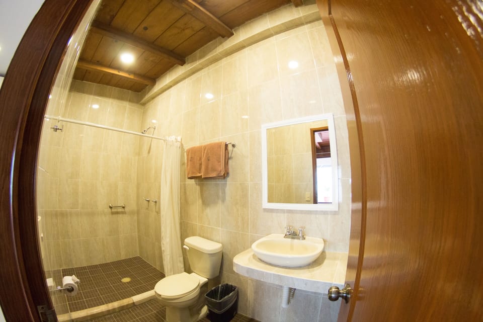 Shower, rainfall showerhead, towels, soap