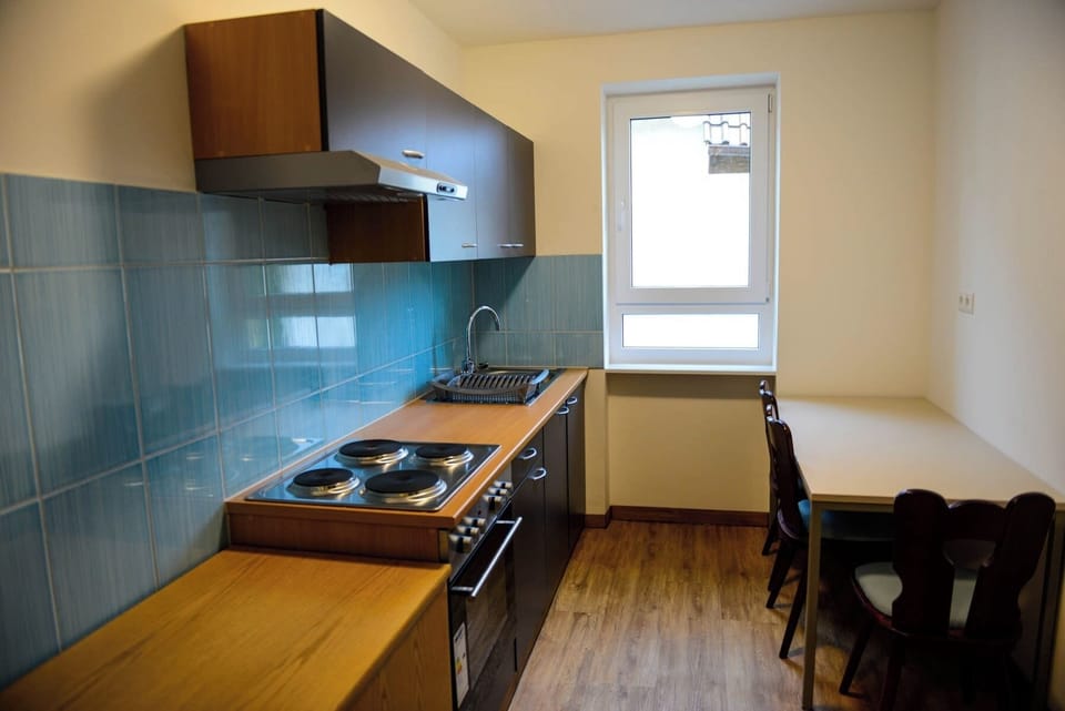Full-size fridge, microwave, oven, stovetop