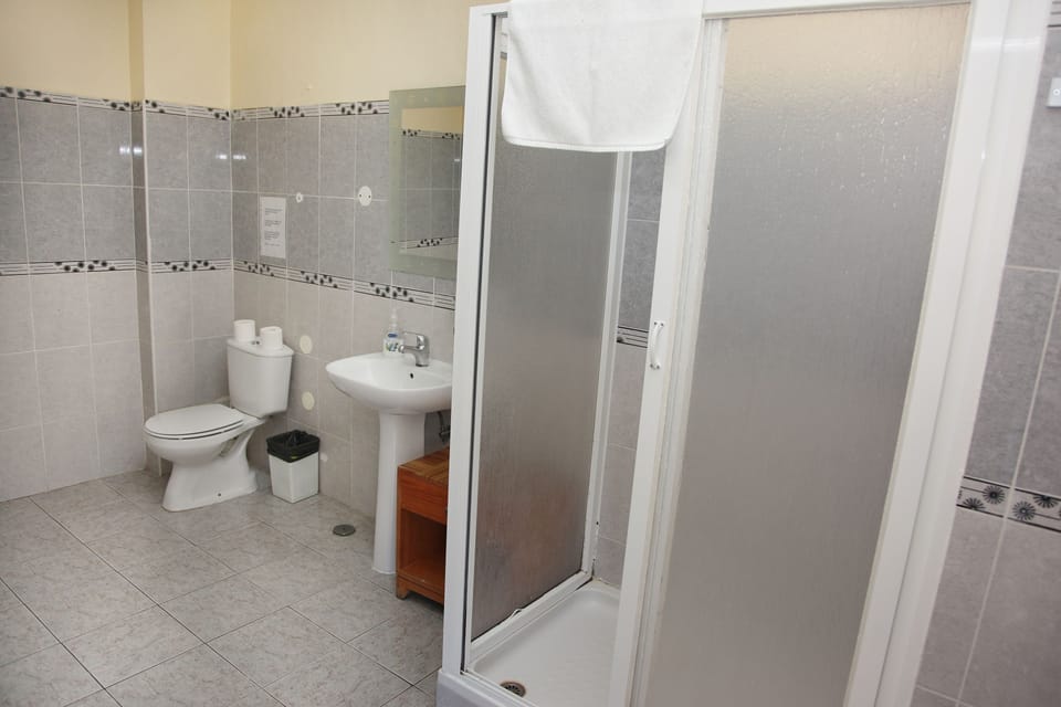 Triple Room, Private Bathroom | Bathroom | Shower, hair dryer, towels, soap