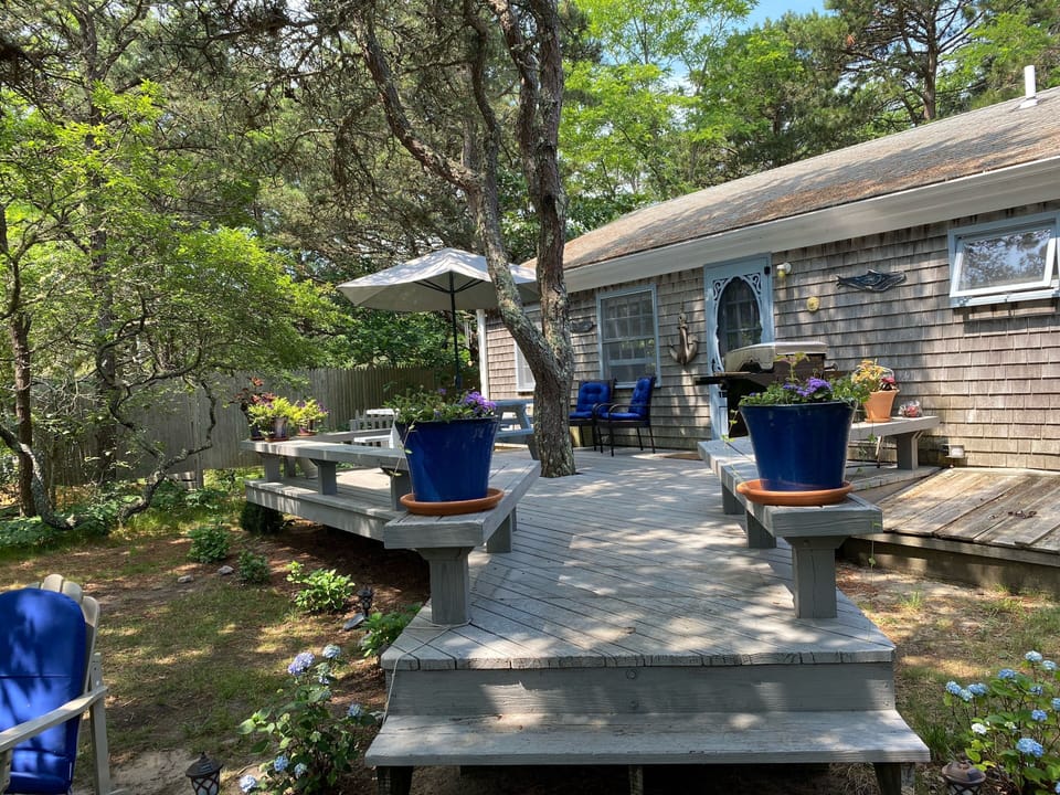 Welcome to Salt N’ Pepper Landing....