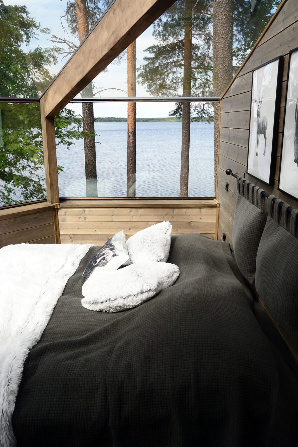 Lake view