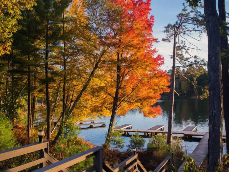 Surround yourself with the beauty of nature