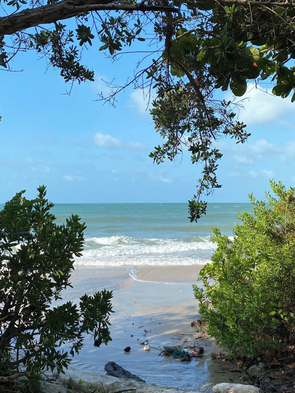 Dolce Vita Guest House Bed and Breakfast in State of Ceará