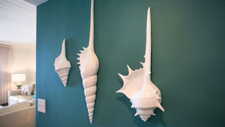 Find shells similar to these while visiting the beach.  The ones of the beach will be smaller and more colorful, though.