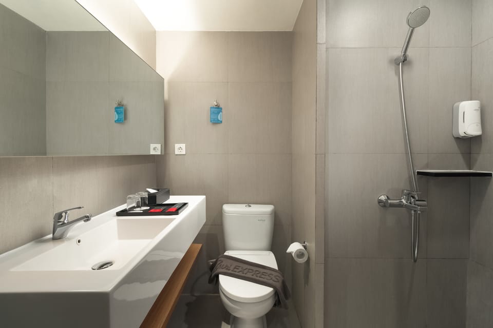 Shower, free toiletries, hair dryer (on request), slippers