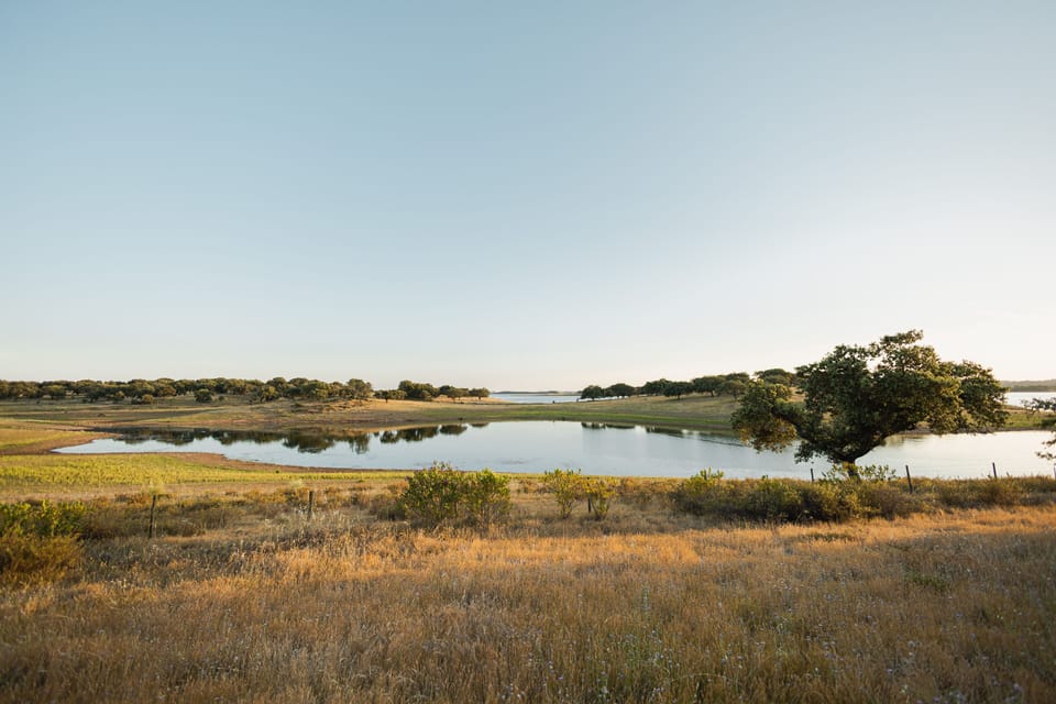 Lake