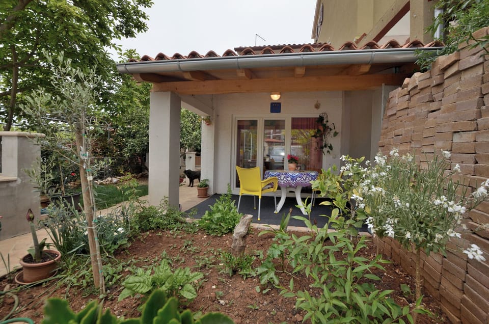Studio (A1) | Terrace/patio